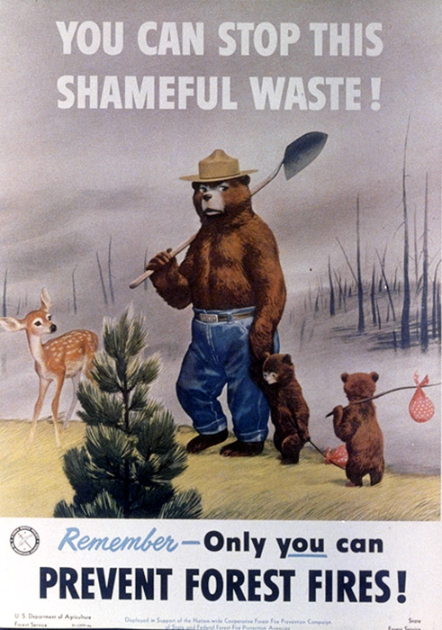 smokeybear 1950